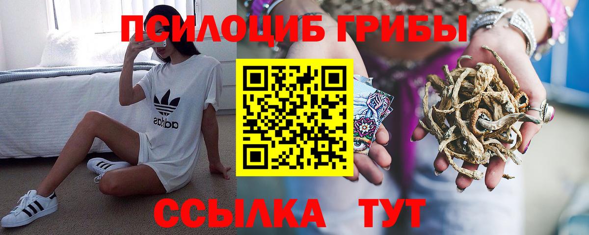 Псилоцибиновые грибы прущие грибы Красноперекопск